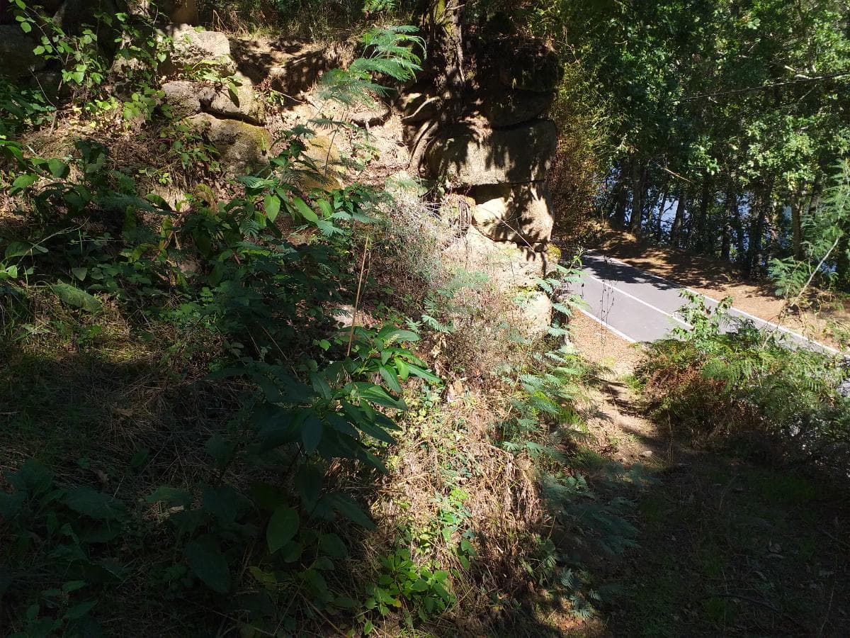 Terrenos · Cinfães — imagem 12