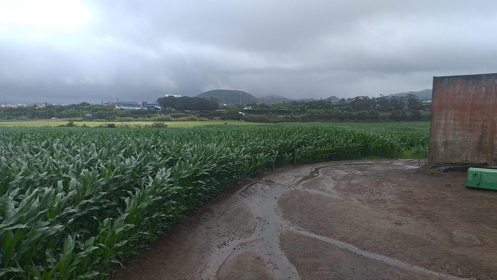 Quinhão Hereditário · Ribeira Grande, Açores — imagen 10