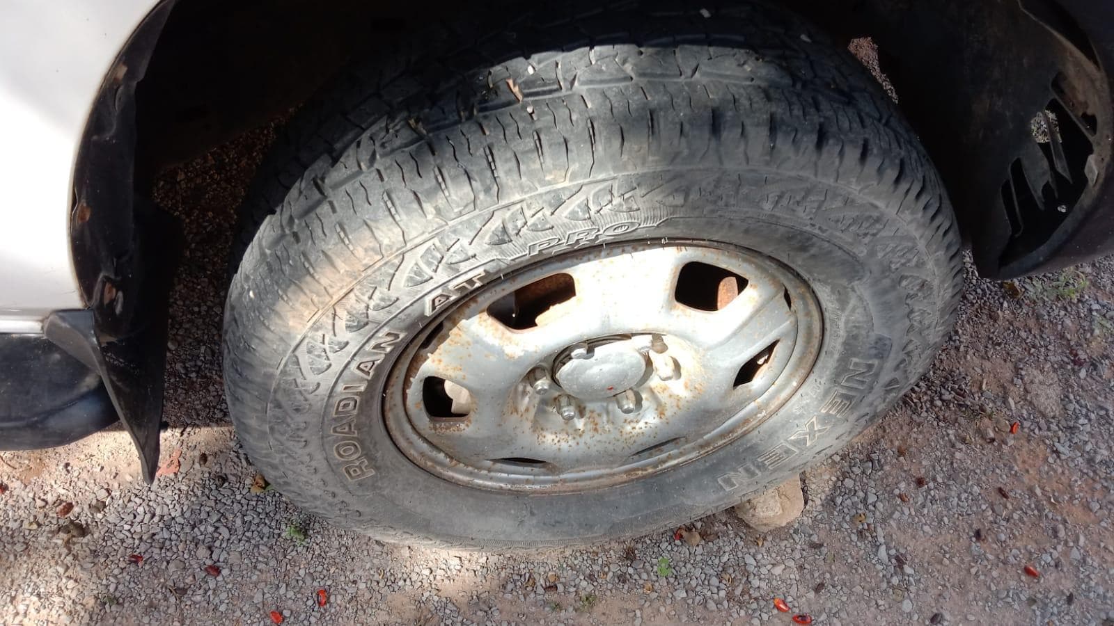 Toyota, modelo Land cruiser · — imagen 4