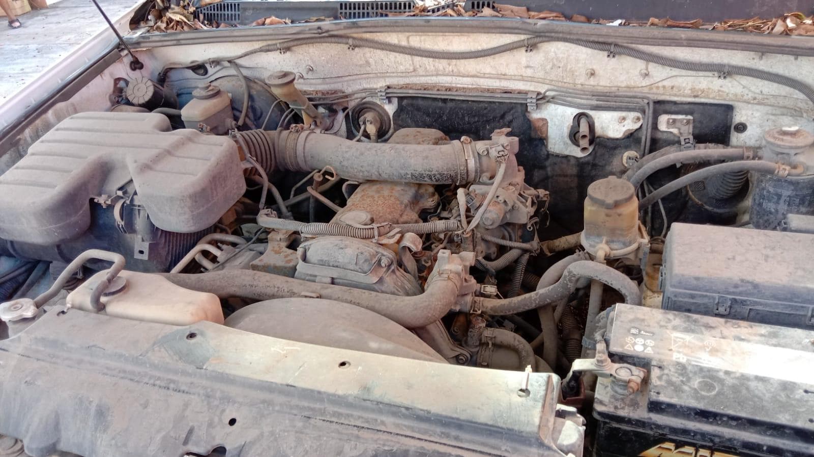 Toyota, modelo Land cruiser · — imagen 7