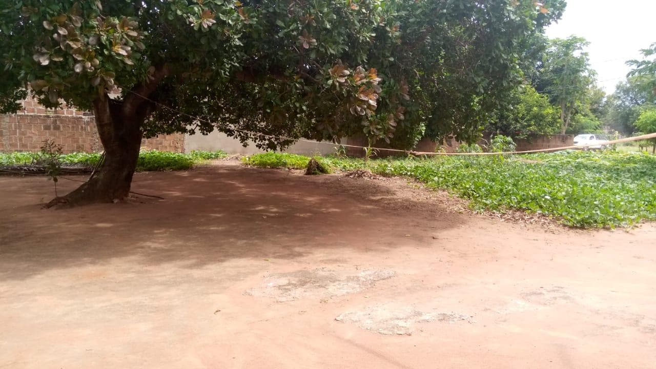 Casa T2 em terreno de 4200m2 — imagem 3