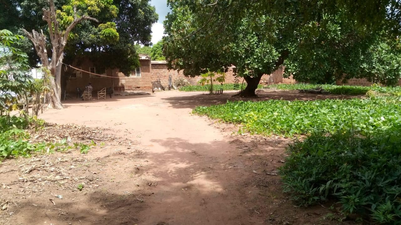 Casa T2 em terreno de 4200m2 — imagem 4