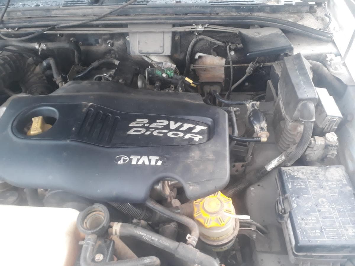 TATA XENON · — imagem 13