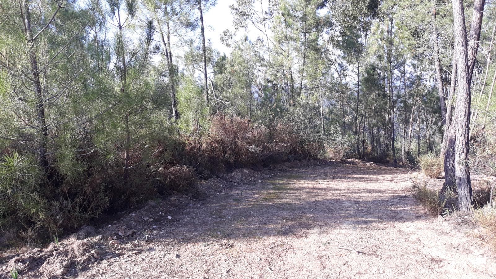 Terreno · Vila Velha de Ródão, Castelo Branco