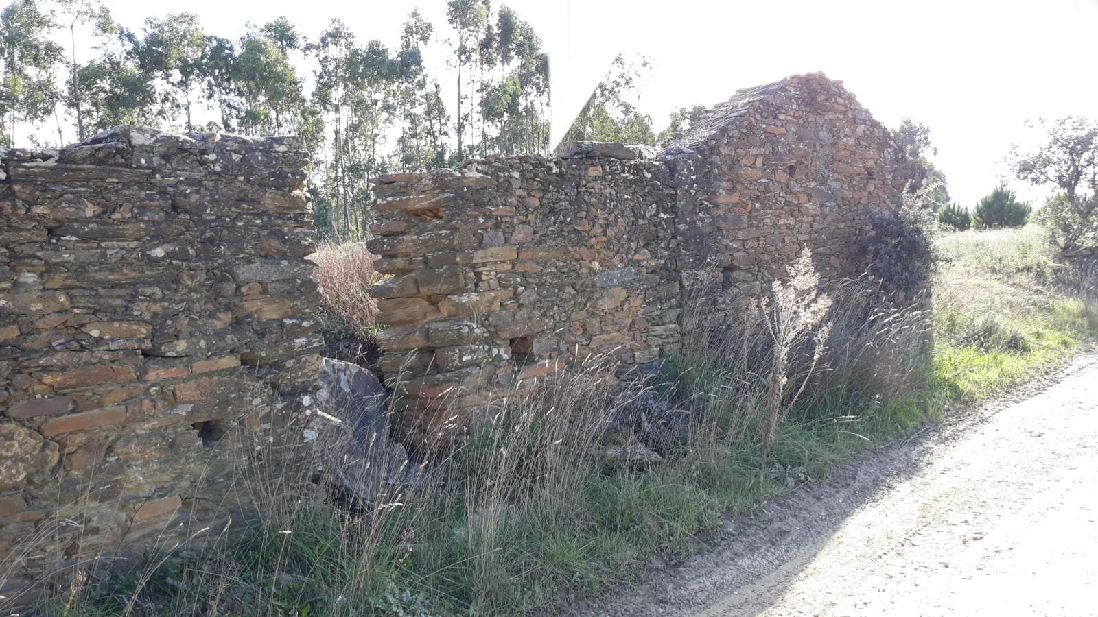 Terreno · Vila Velha de Ródão, Castelo Branco — imagem 4
