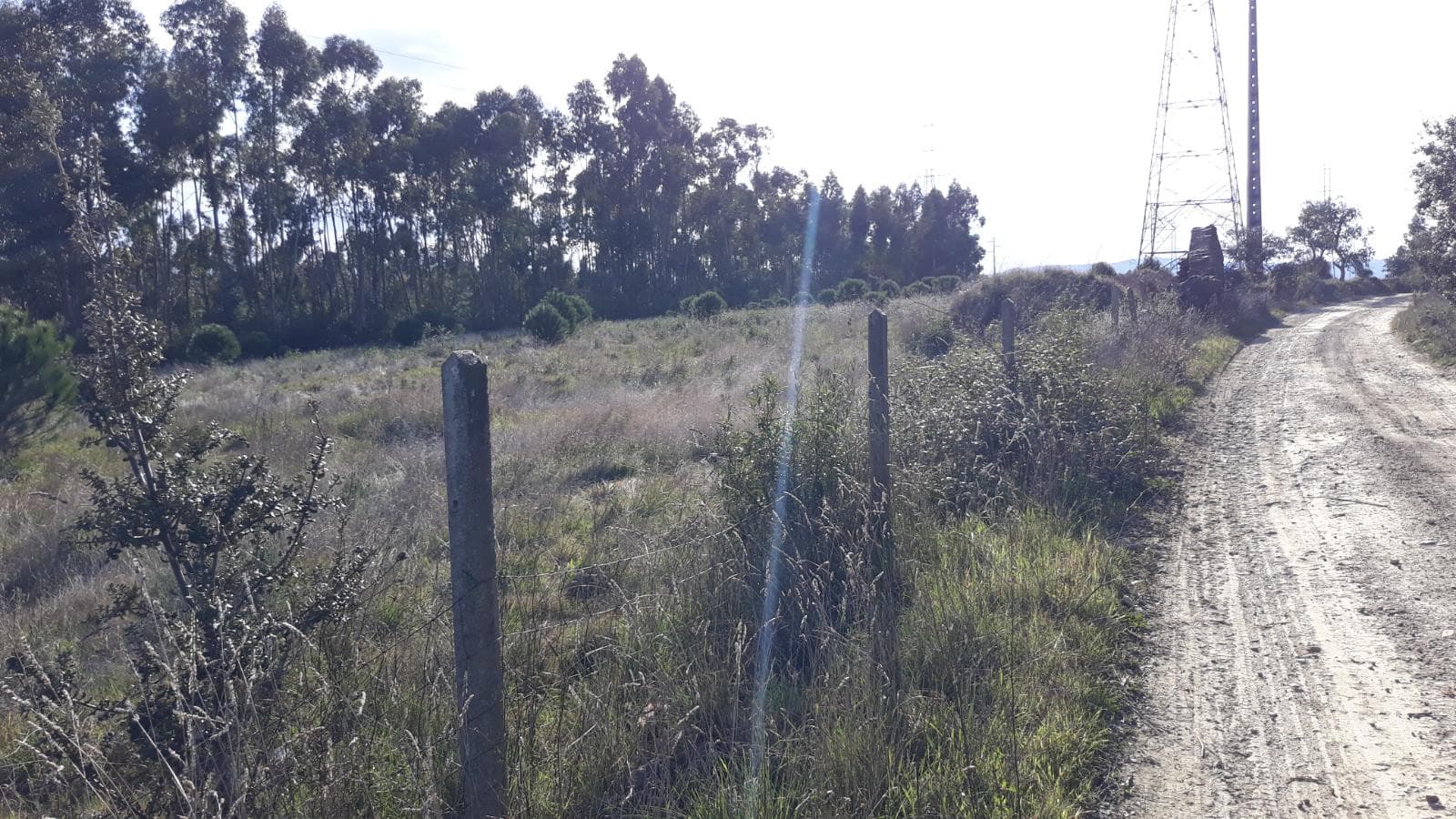 Terreno · Vila Velha de Ródão, Castelo Branco — imagem 2