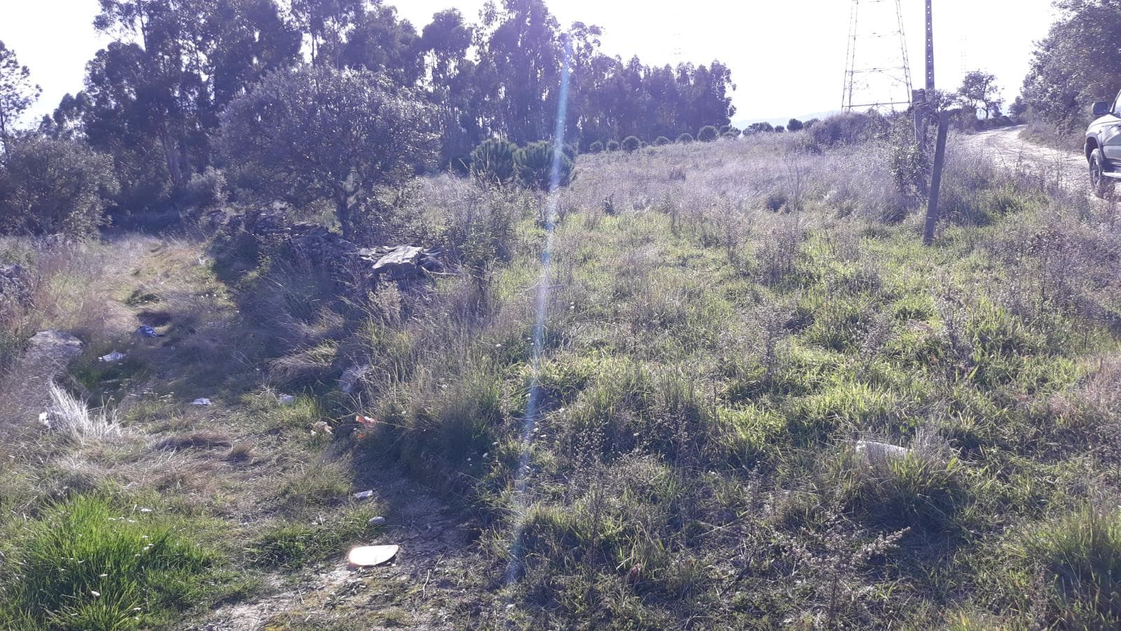Terreno · Vila Velha de Ródão, Castelo Branco — imagem 6