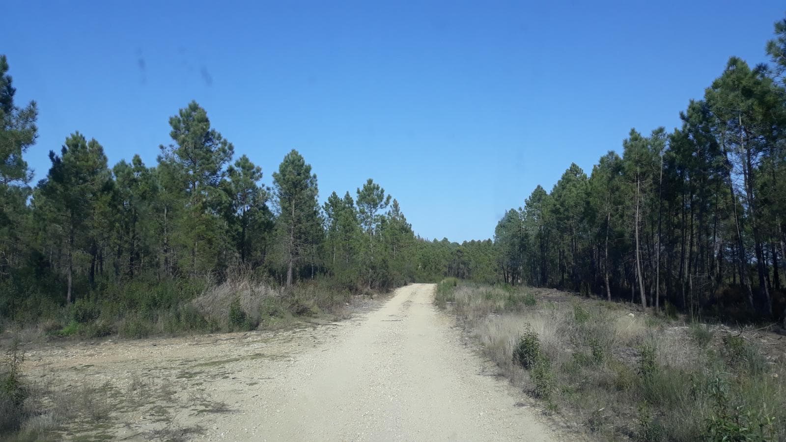 Terrenos · Vila Velha de Ródão, Castelo Branco — image 6
