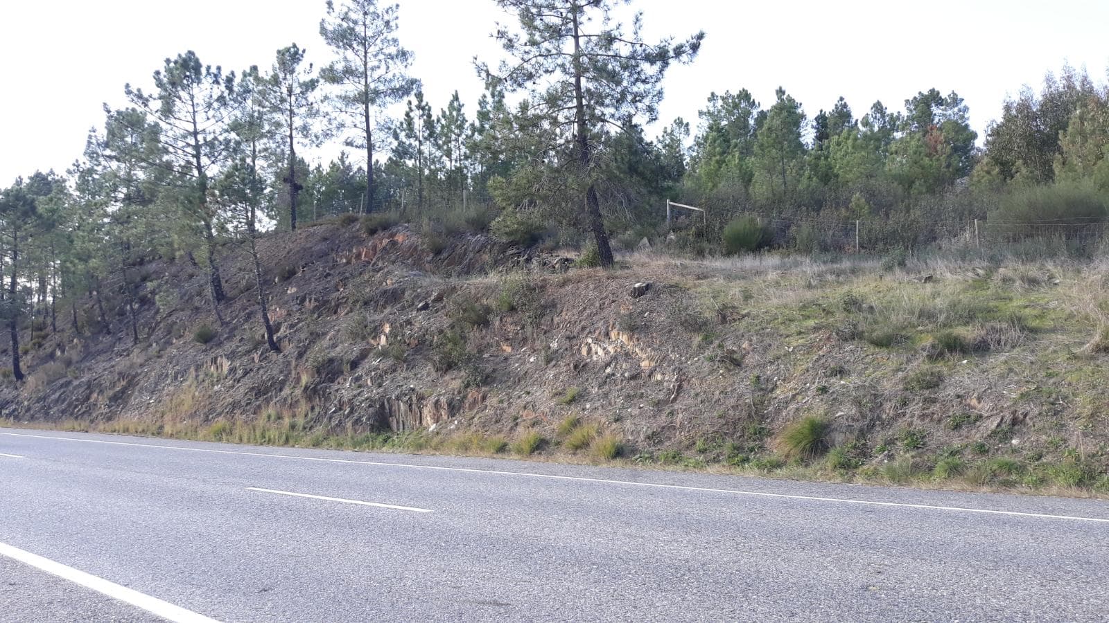 Terreno · Vila Velha de Ródão, Castelo Branco — imagen 2