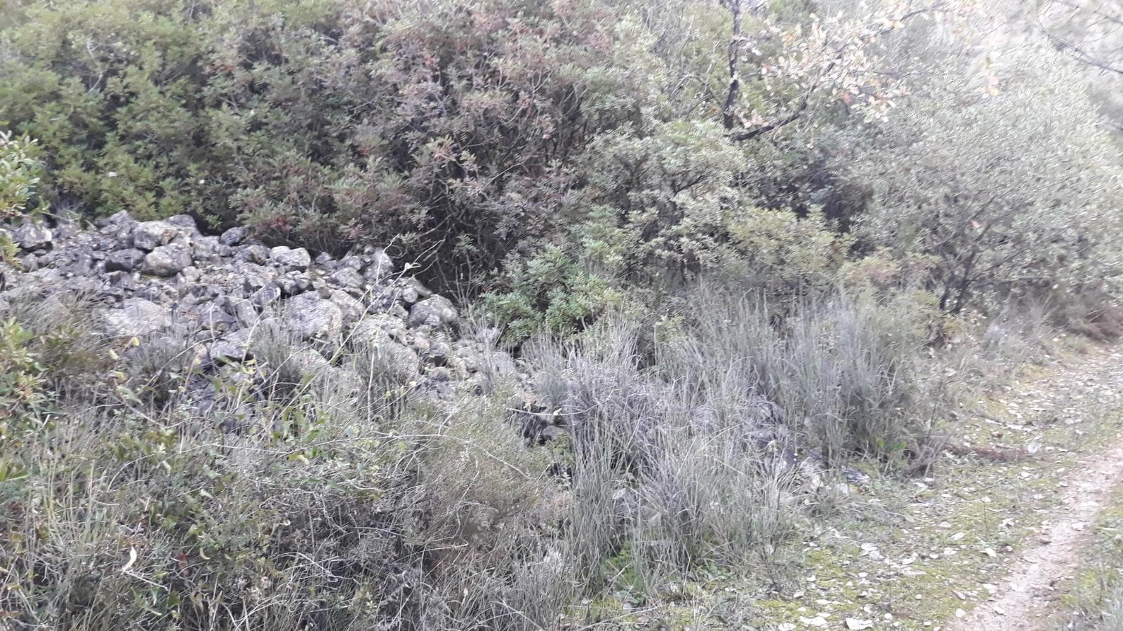 Quinhão Hereditário · Santarém — imagen 21