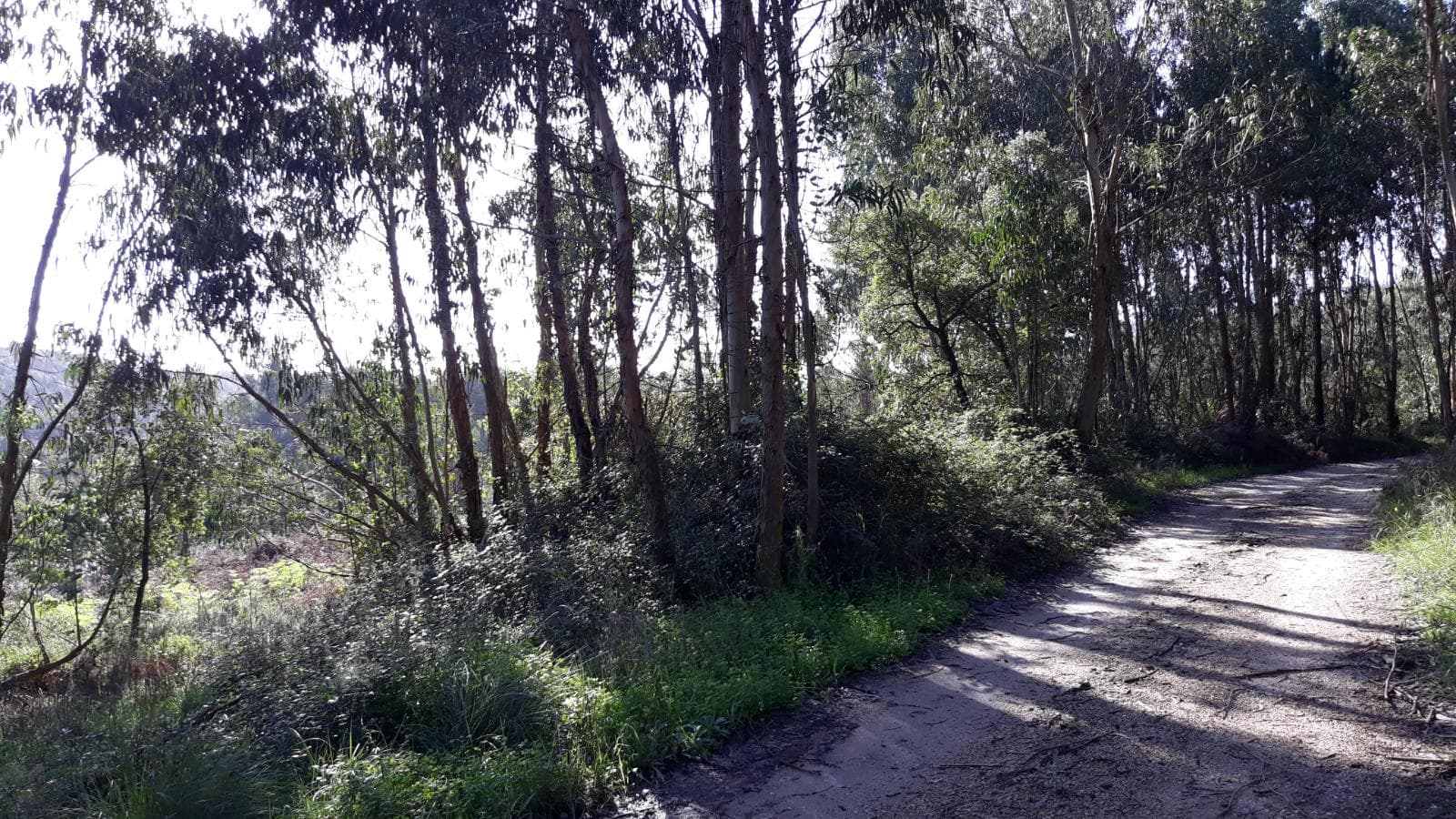 Quinhão Hereditário · Santarém — imagen 3