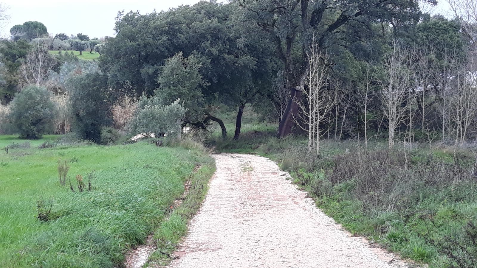 Quinhão Hereditário · Santarém — imagen 14