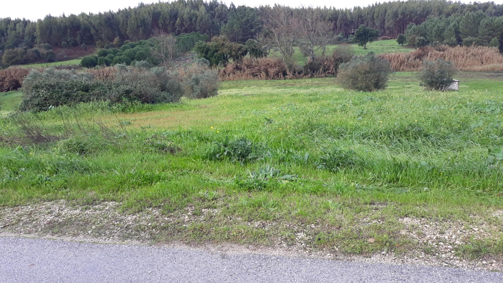 Quinhão Hereditário · Santarém — imagen 15
