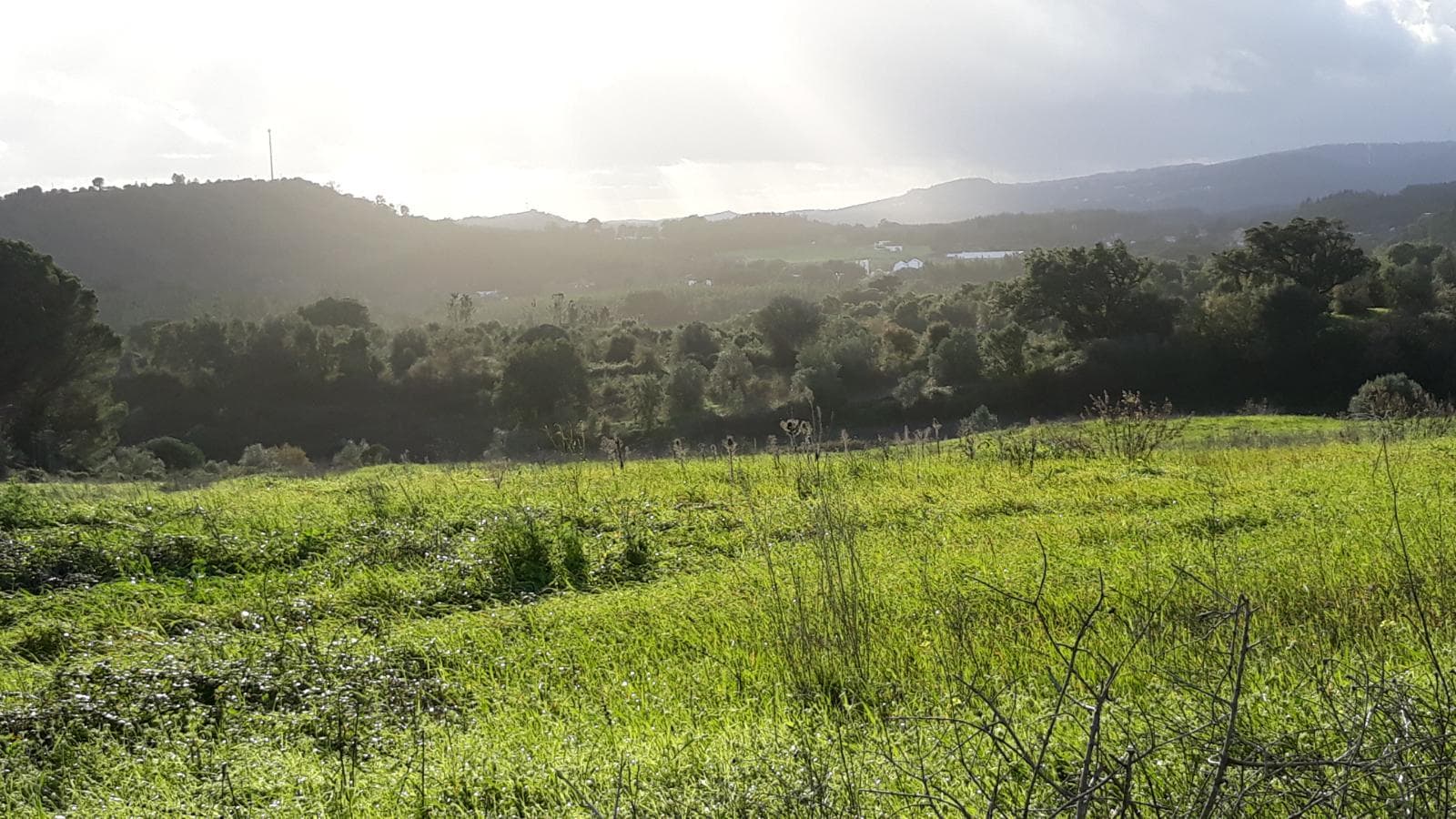 Quinhão Hereditário · Santarém — imagen 6