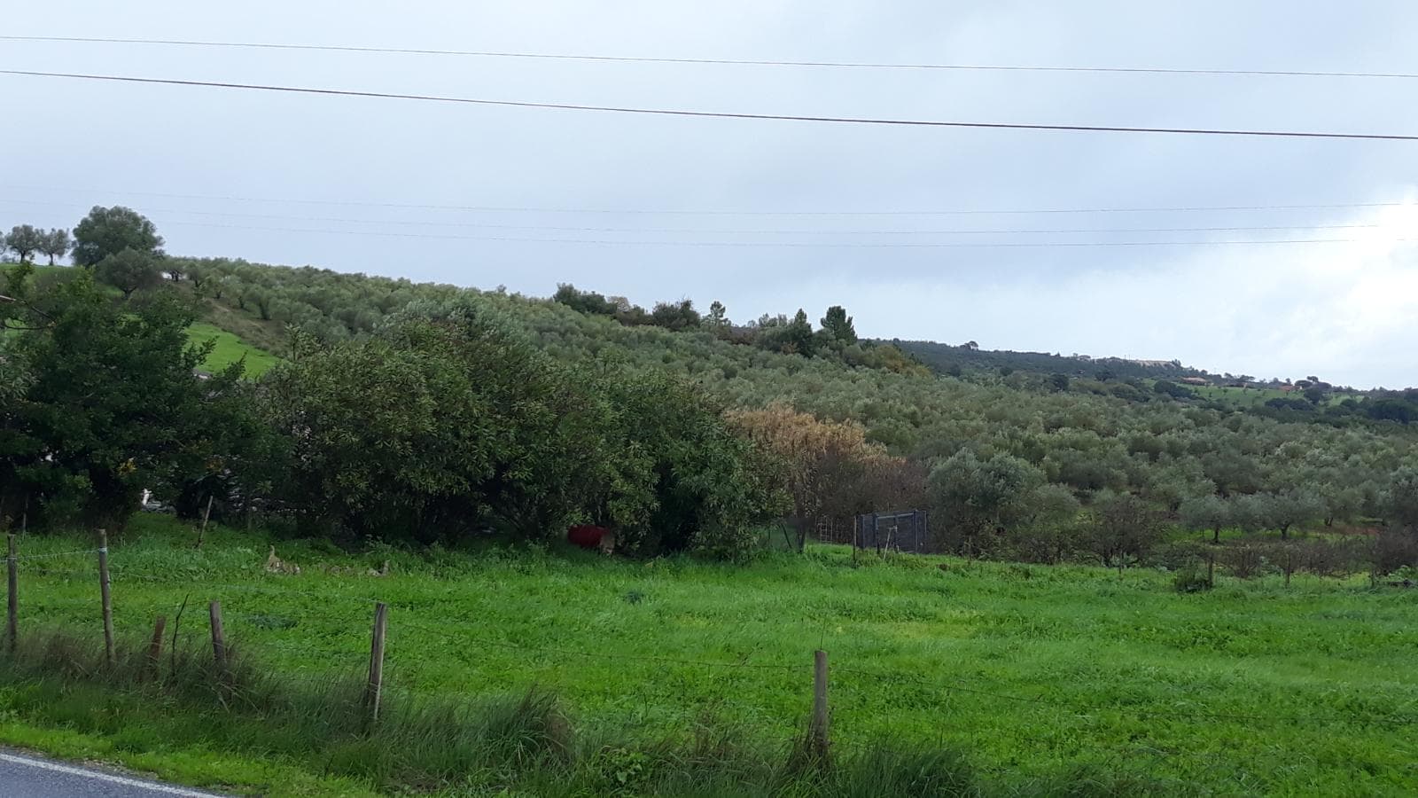 Quinhão Hereditário · Santarém — imagen 43