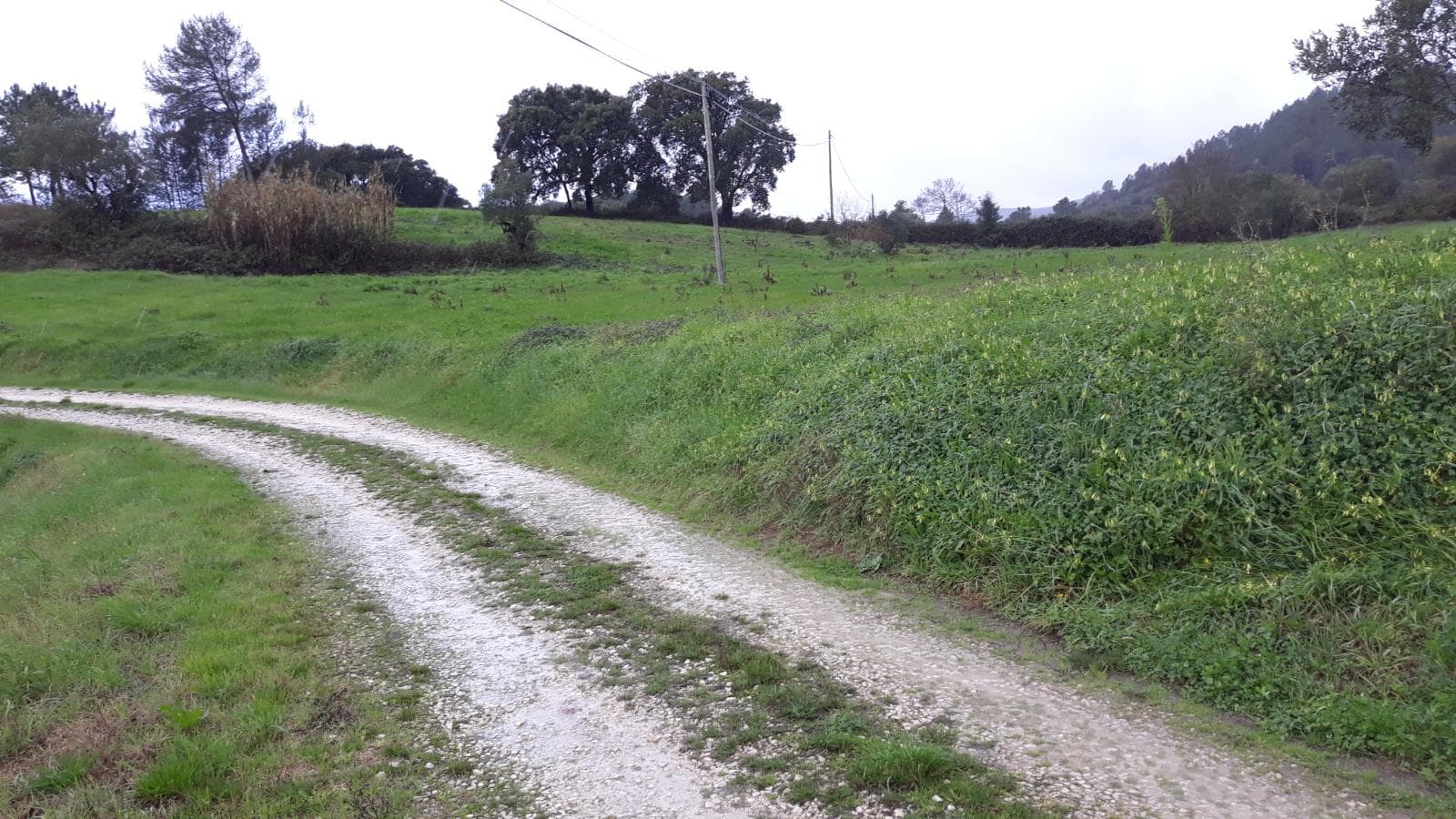 Quinhão Hereditário · Santarém — imagen 18