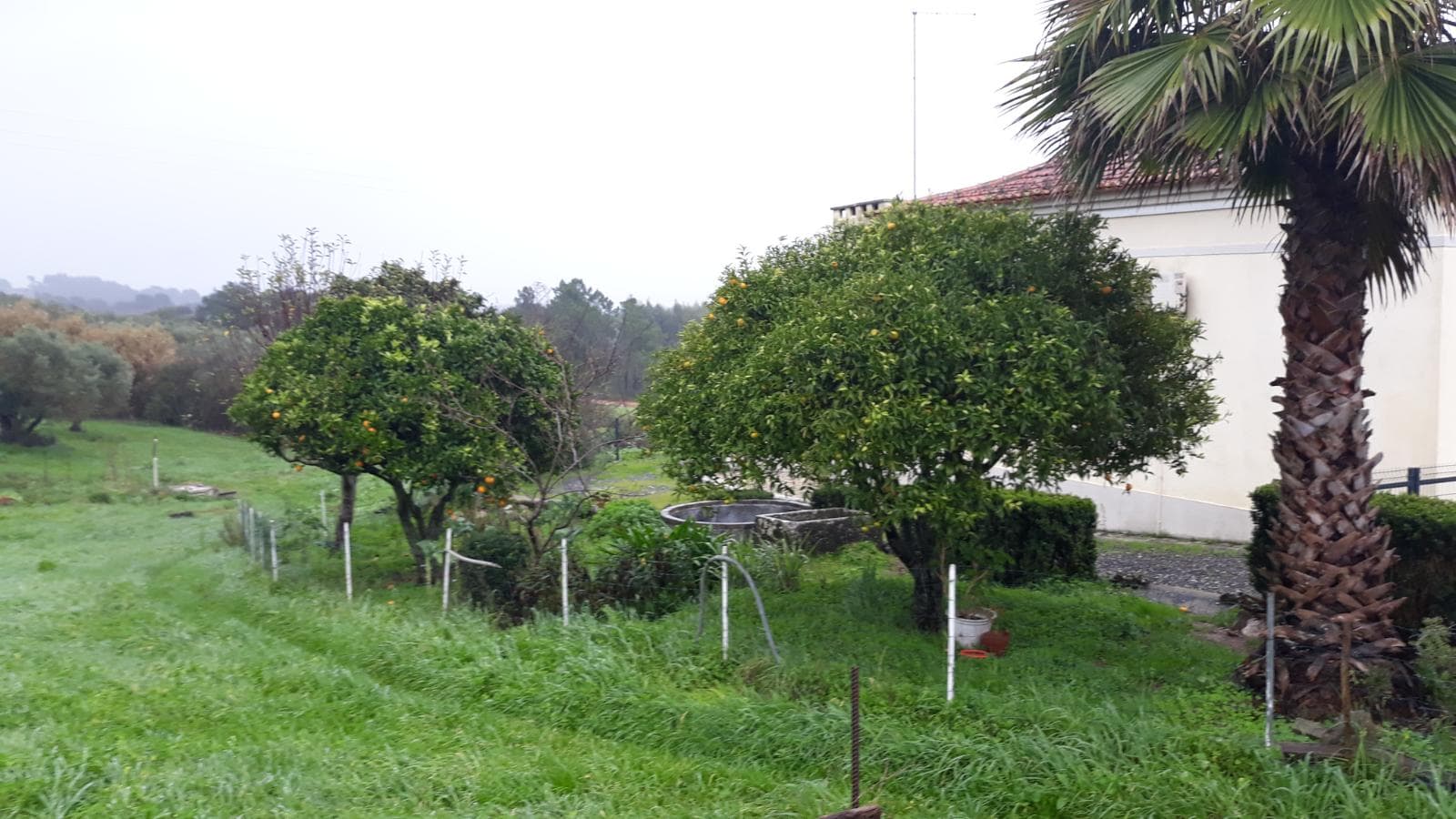 Quinhão Hereditário · Santarém — imagen 45