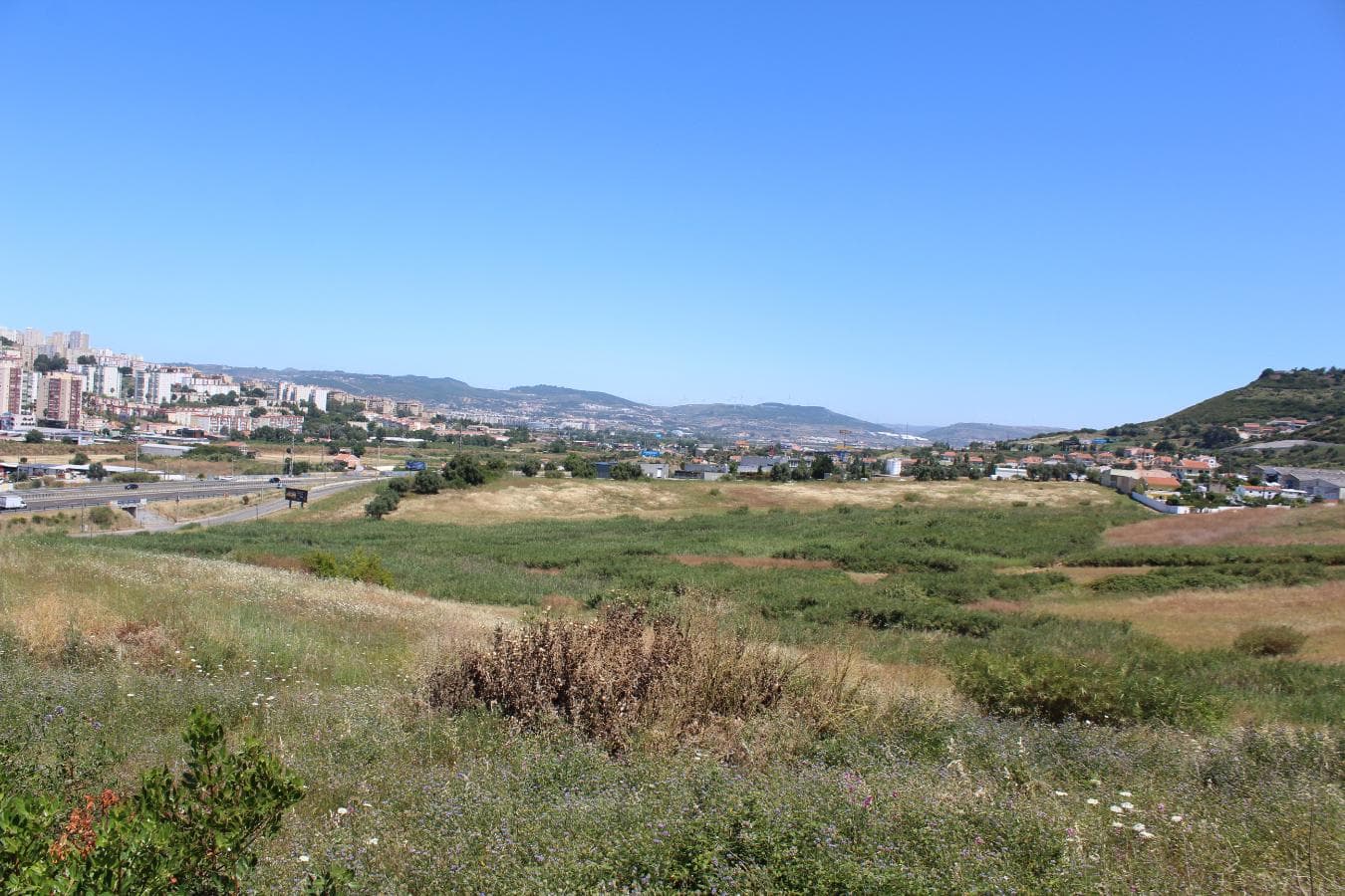 Terreno c/ 5,6 ha · Loures — imagen 3