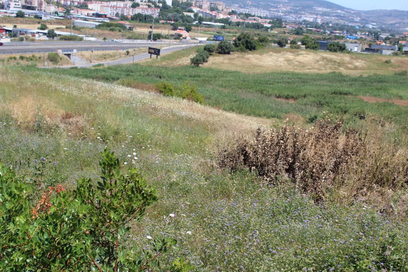 Terreno c/ 5,6 ha · Loures — imagen 1