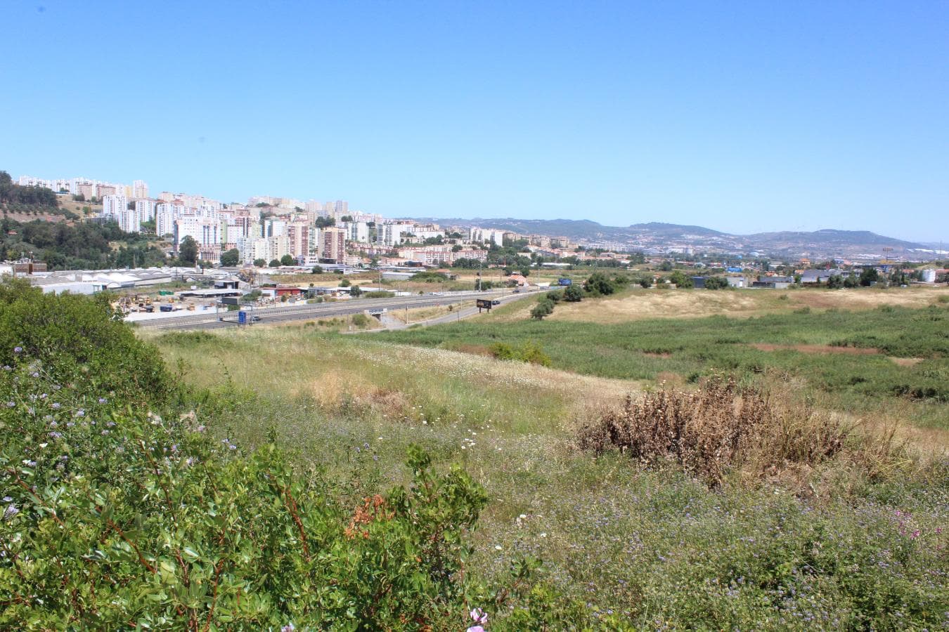 Terreno c/ 5,6 ha · Loures — imagen 5