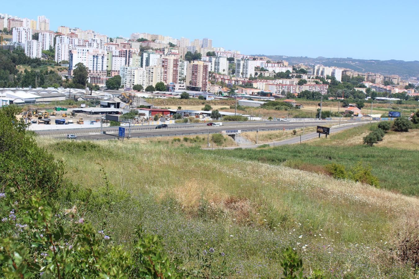 Terreno c/ 5,6 ha · Loures — imagen 6