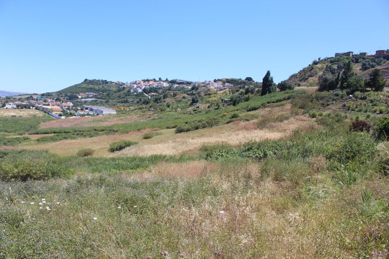 Terreno c/ 5,6 ha · Loures — imagen 7