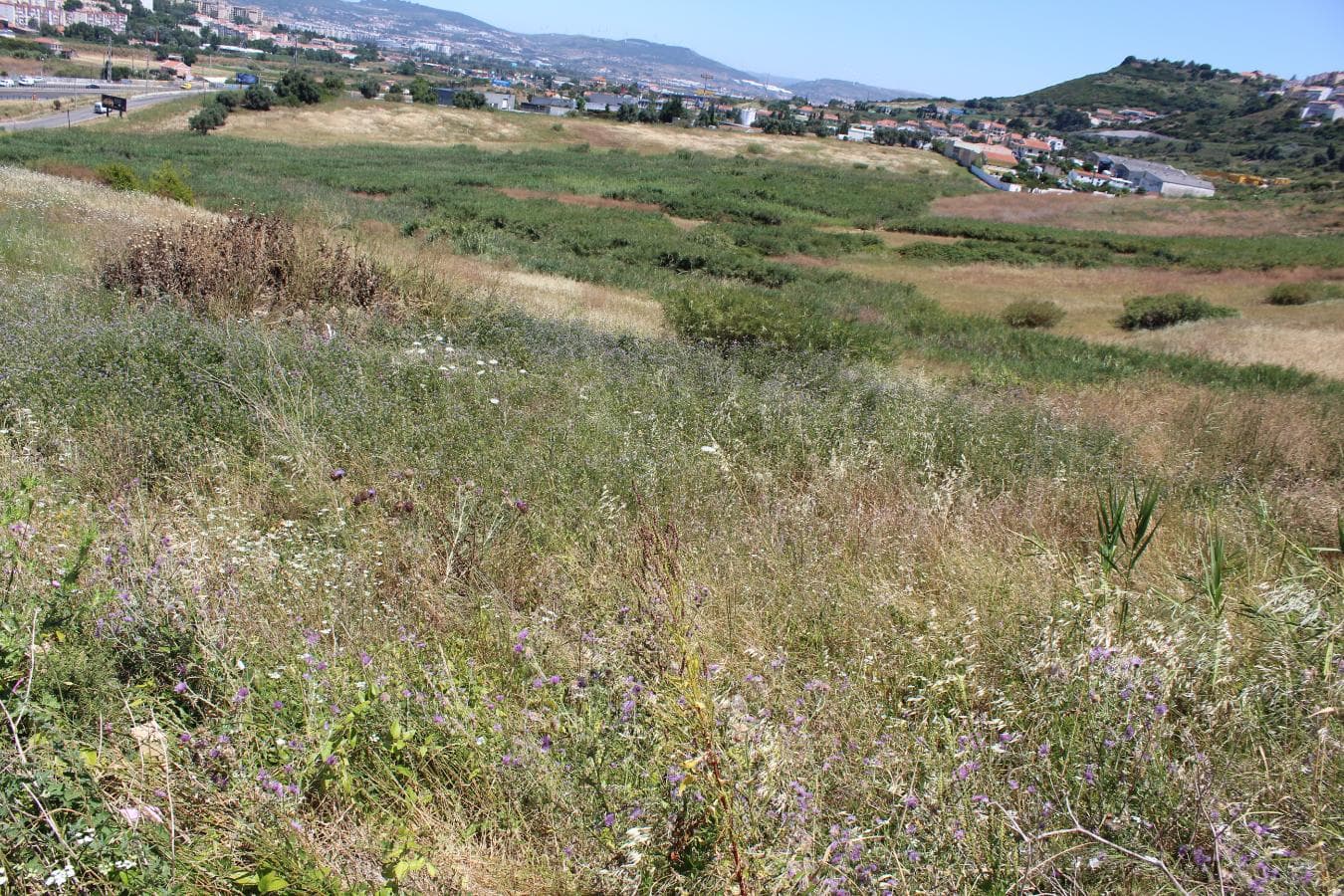 Terreno c/ 5,6 ha · Loures — imagen 8