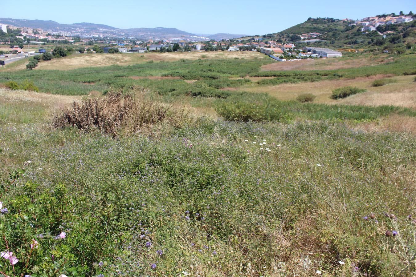 Terreno c/ 5,6 ha · Loures — imagen 9