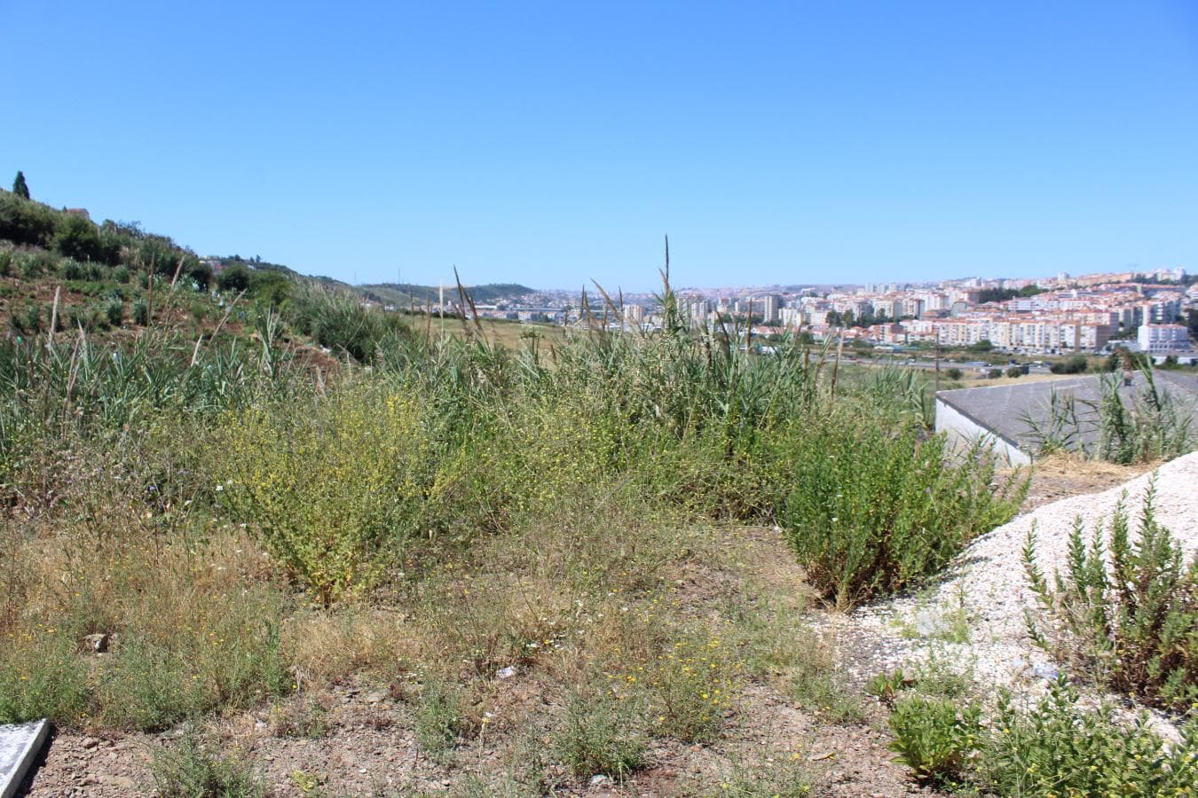 Terreno c/ 1,7 ha · Loures — image 4