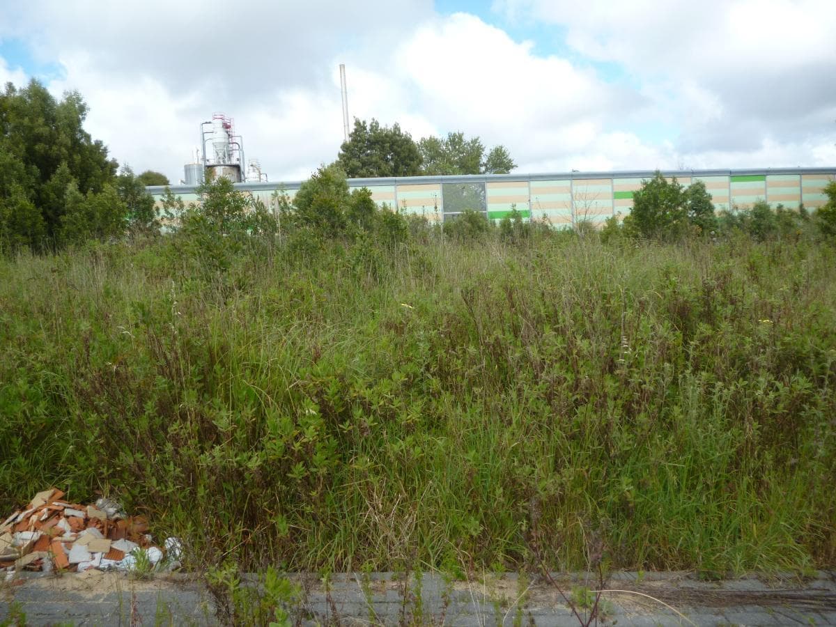 Terreno para Construção · Santa Maria da Feira — imagem 2