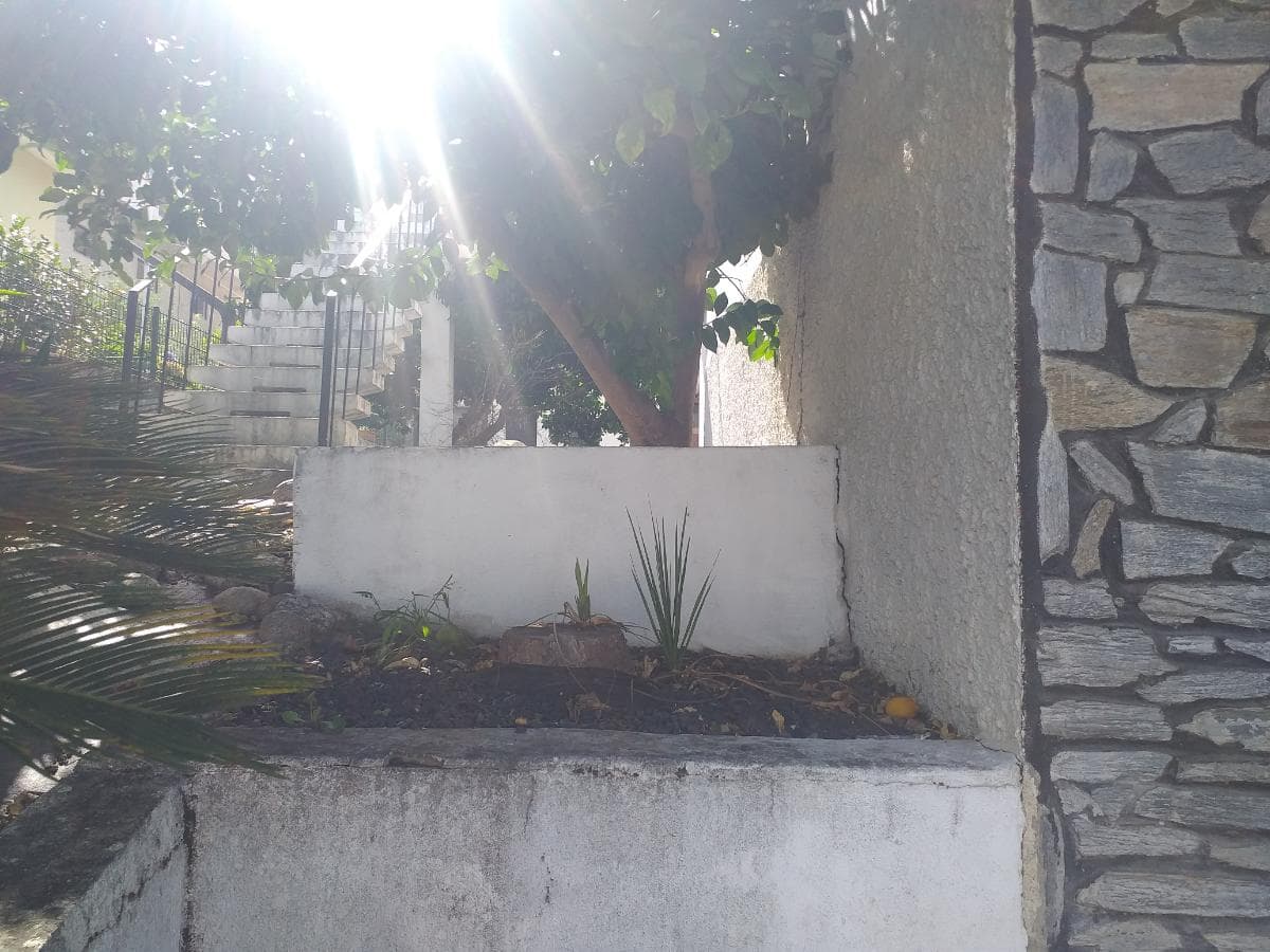 Moradia V3 · Tabuaço — image 5