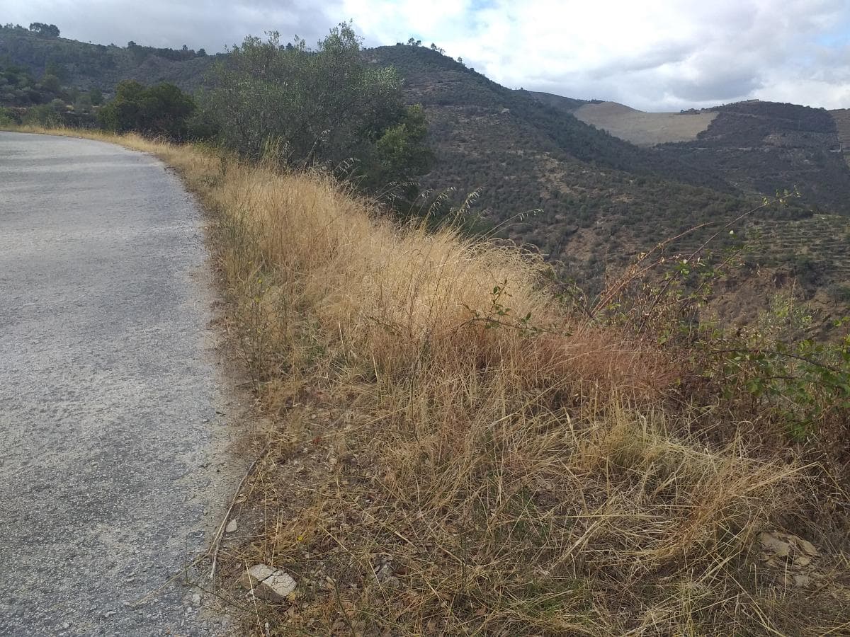 Terreno com 4,49 ha · Tabuaço — imagen 12