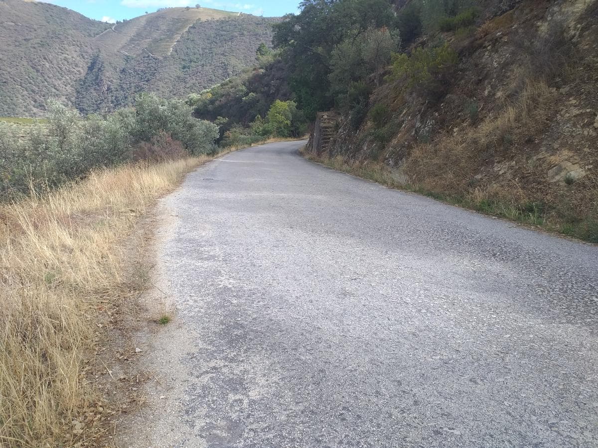 Terreno com 4,49 ha · Tabuaço — imagen 13