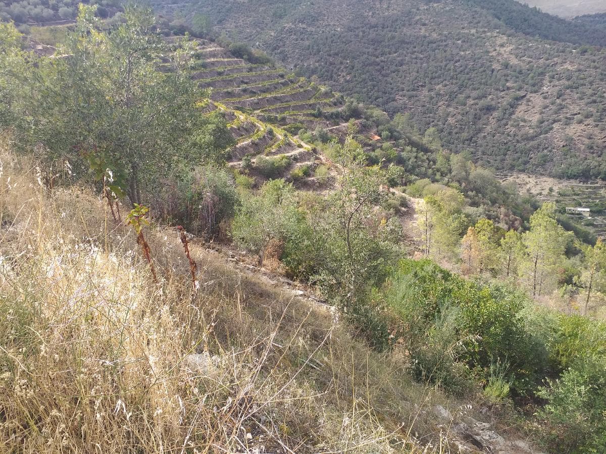 Terreno com 4,49 ha · Tabuaço — imagen 1
