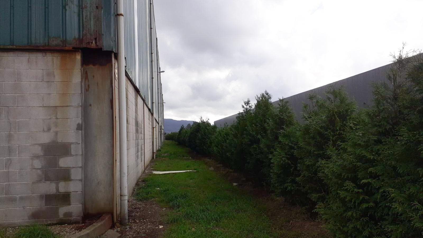 Estabelecimento Comercial · Transformação, reciclagem e refinação de alumínios e outros resíduos · Viana do Castelo — imagem 112