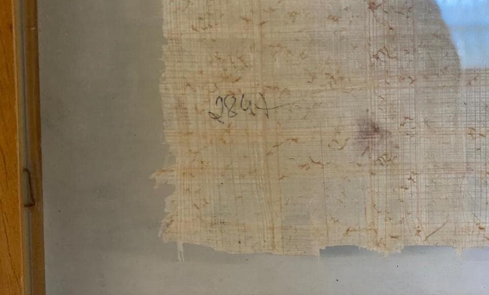 Papiro — imagen 4