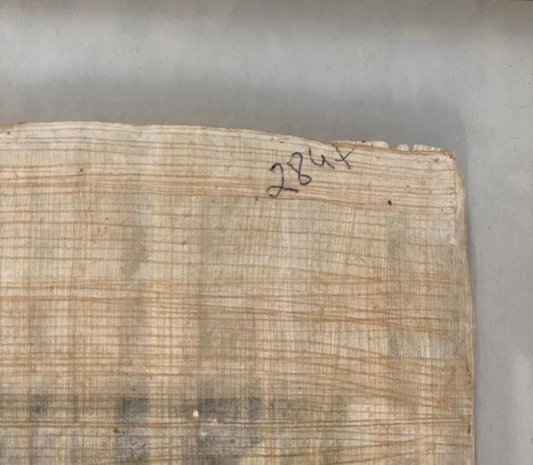 Arte · Esculturas · Papiros — image 28