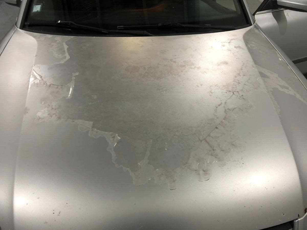 Volkswagen Passat 1.9 TDI· Ano 2001 — imagen 13