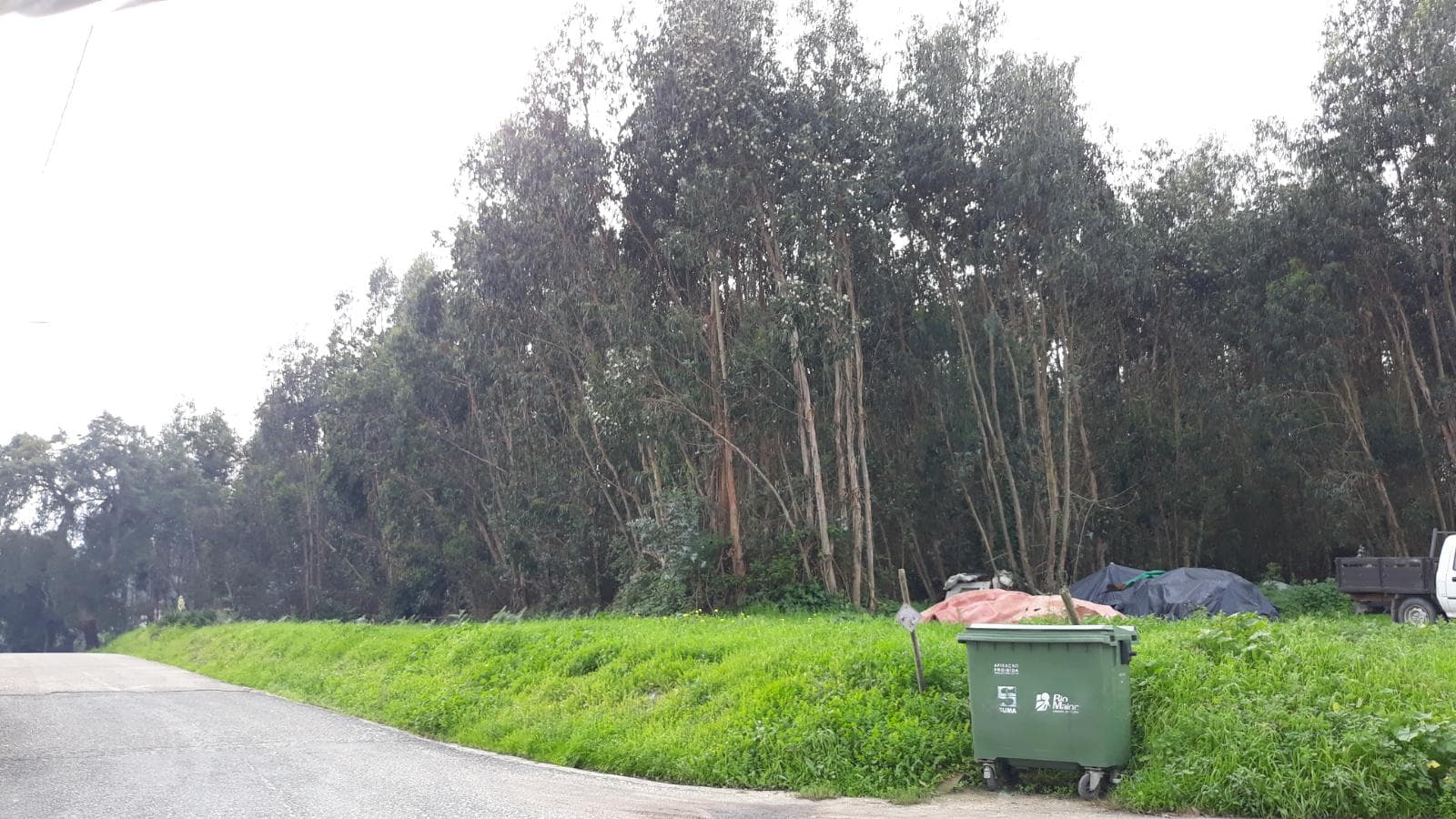 Terreno c/ +2,2 Hectares · Rio Maior, Santarém — imagem 3