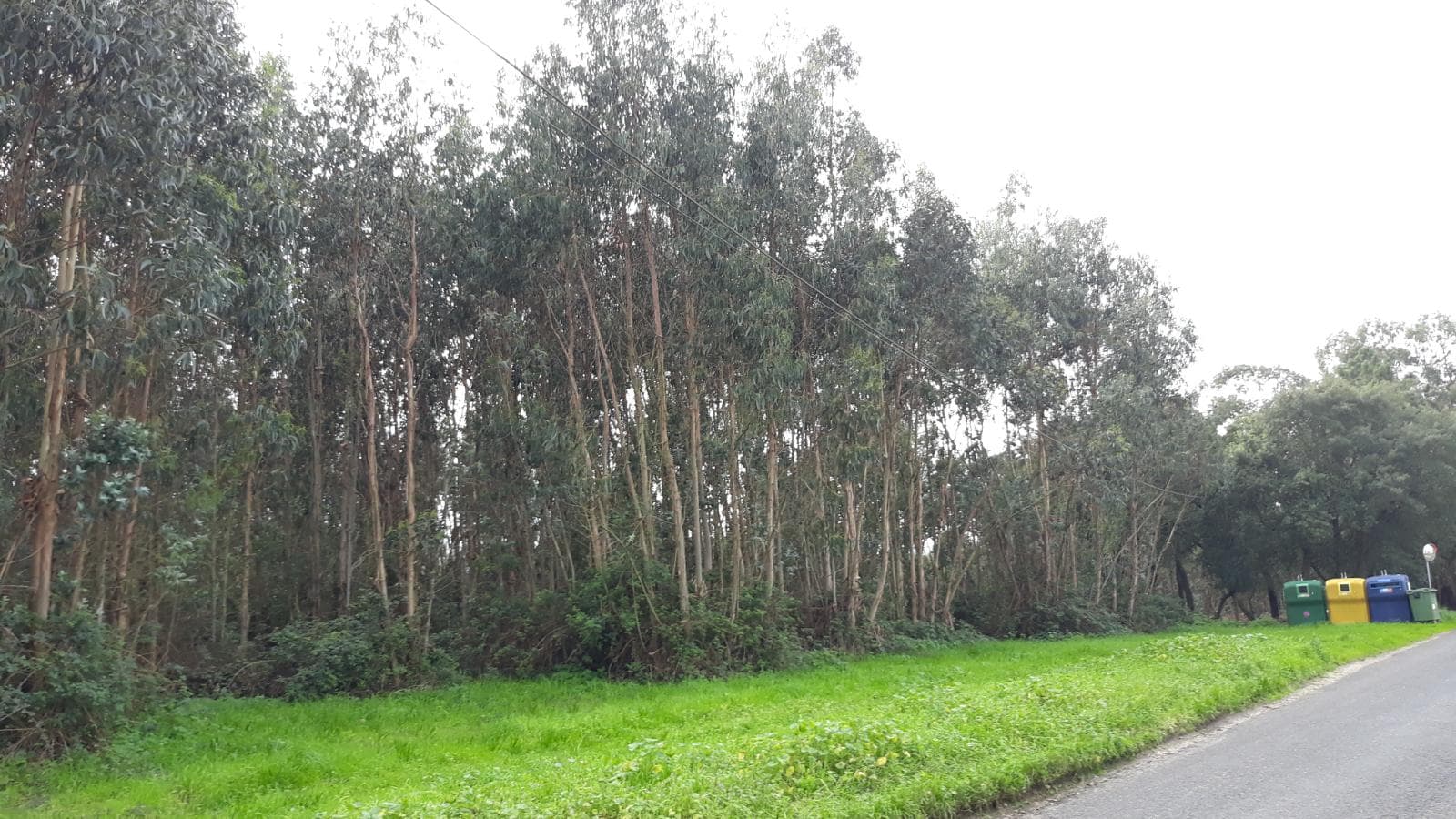Terreno c/ +2,2 Hectares · Rio Maior, Santarém — imagem 6