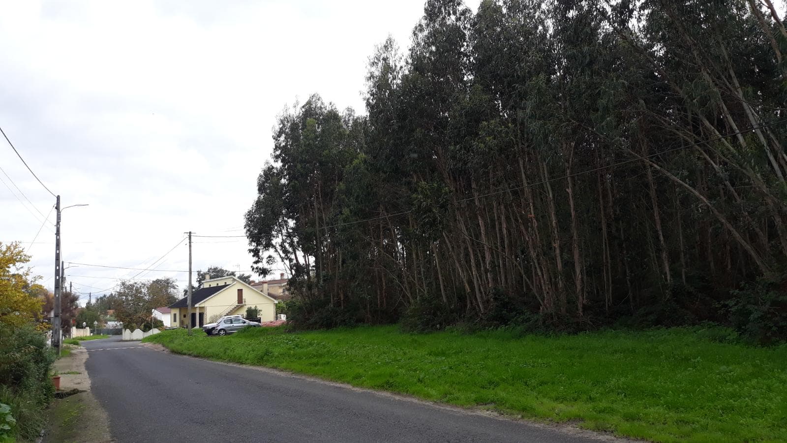 Terreno c/ +2,2 Hectares · Rio Maior, Santarém — imagem 5