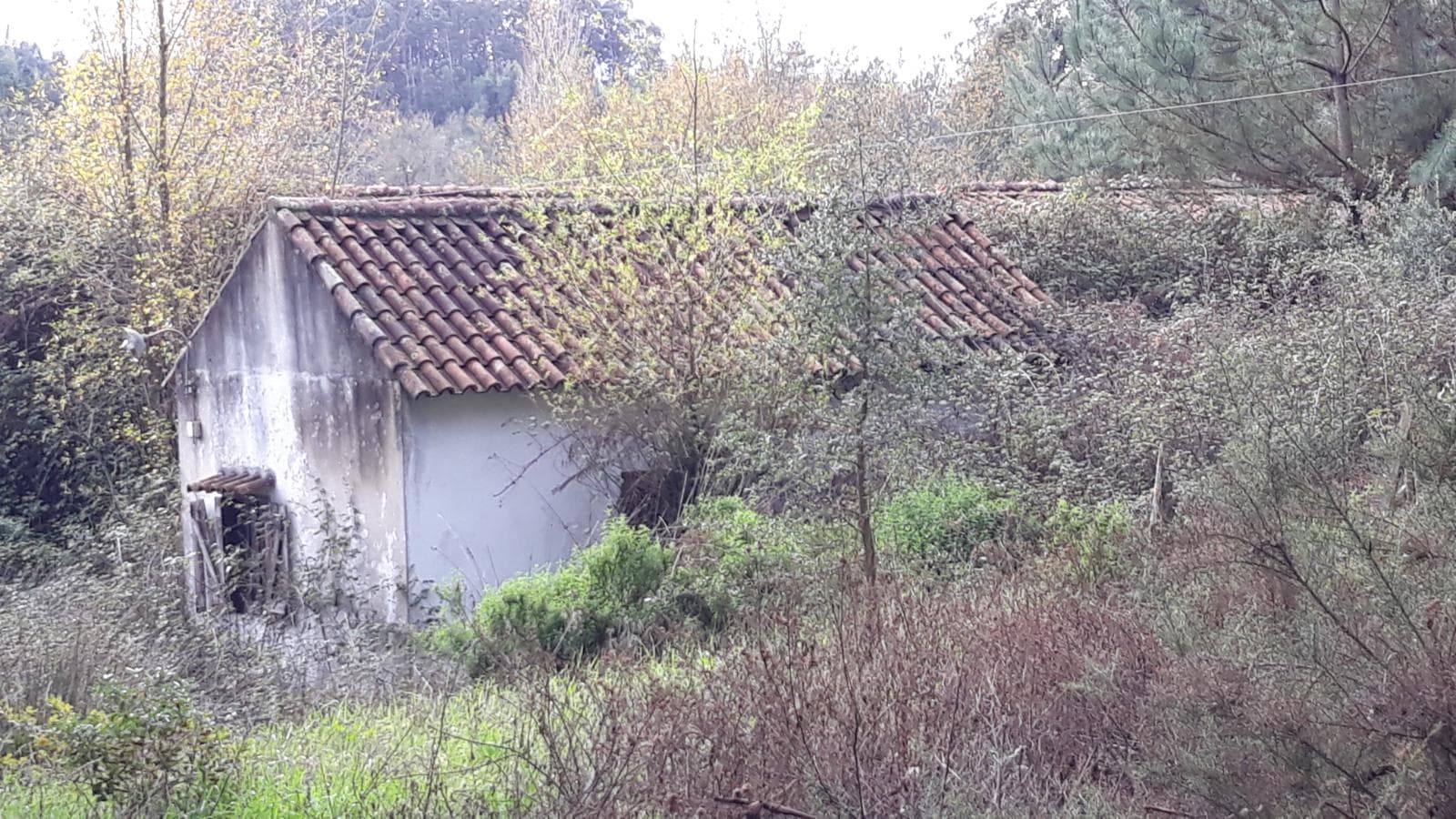 Terreno c/ +2,2 Hectares · Rio Maior, Santarém — imagem 2
