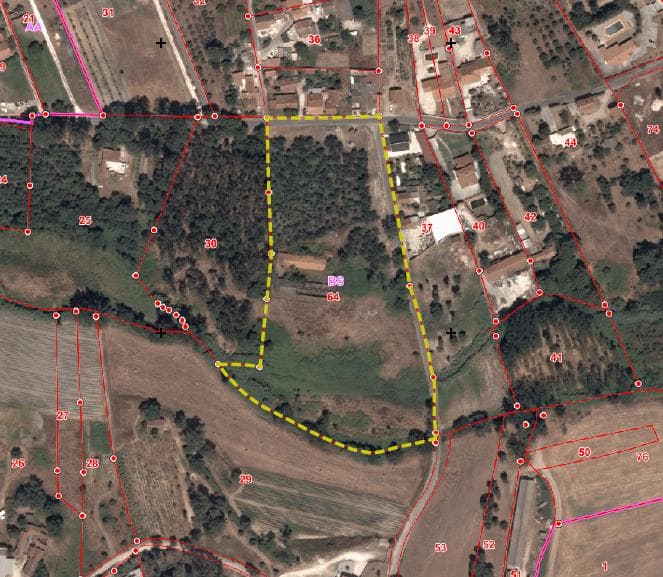 Terreno c/ +2,2 Hectares · Rio Maior, Santarém — imagem 7