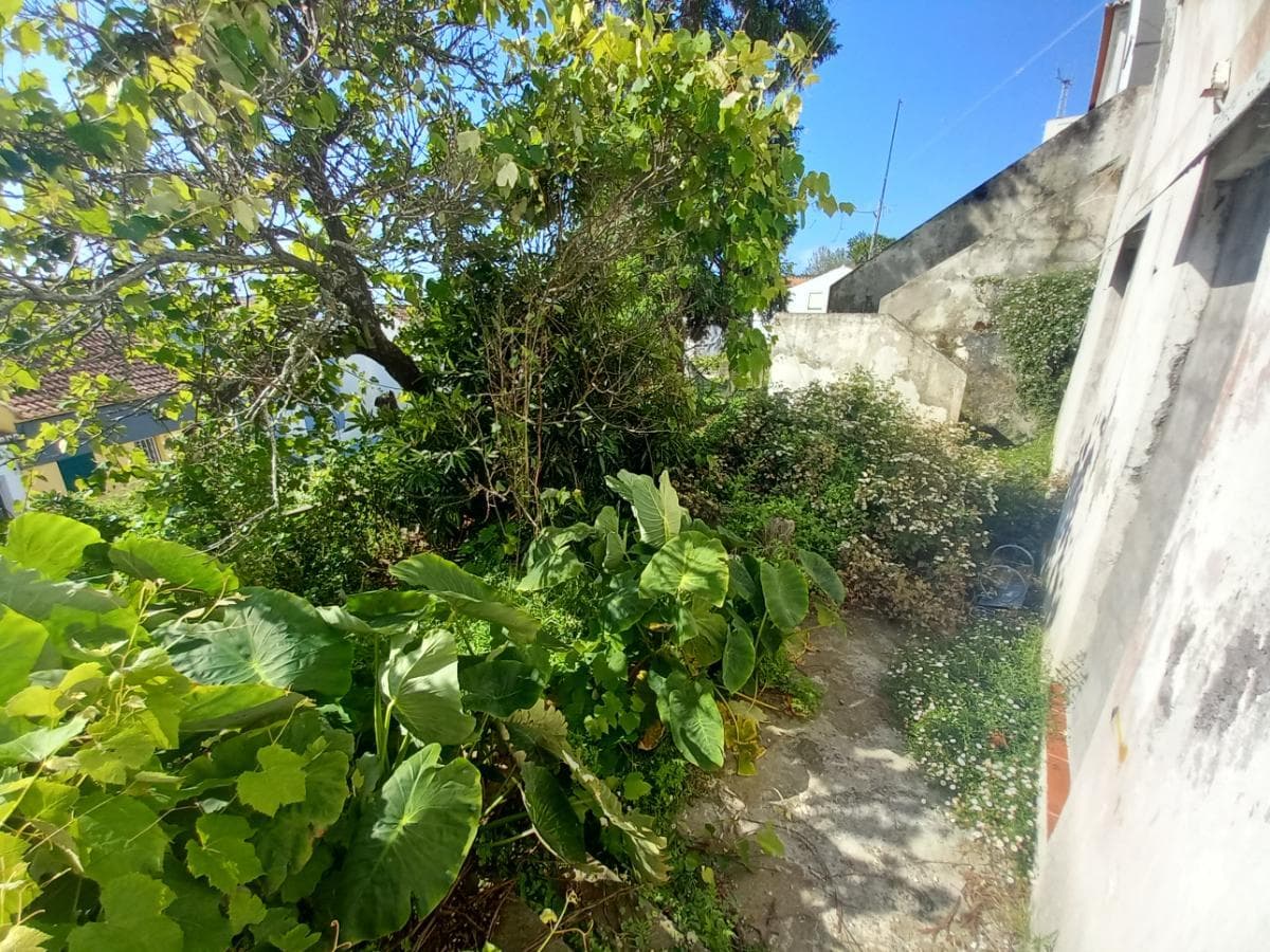 Quinhão Hereditário · Arquipélago dos Açores — image 16