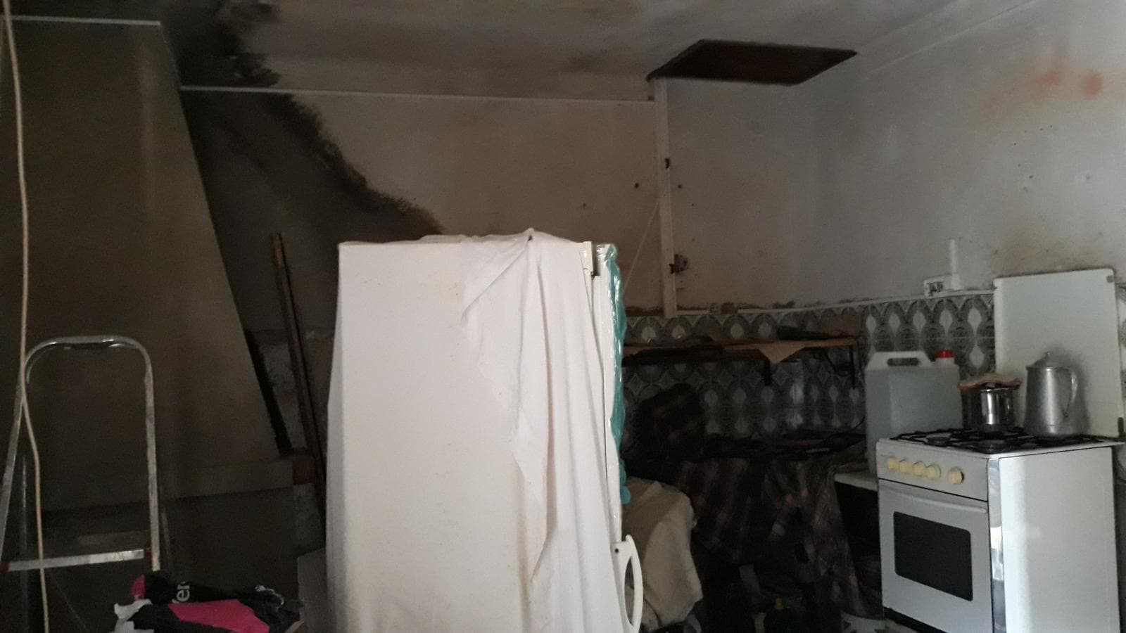Usufruto de Moradia e Terrenos · Penela, Coimbra — imagen 5