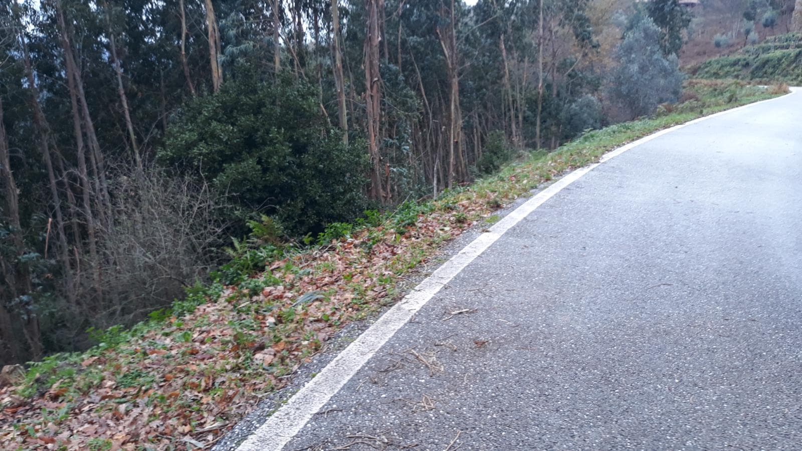 Usufruto de Moradia e Terrenos · Penela, Coimbra — imagen 11