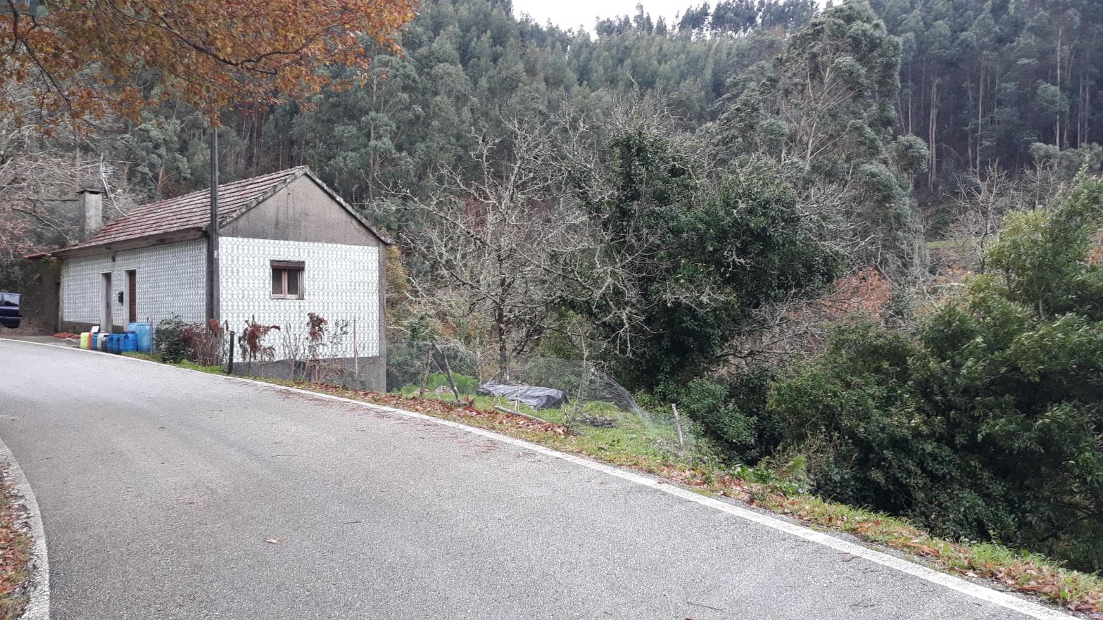 Usufruto de Moradia e Terrenos · Penela, Coimbra — imagen 4