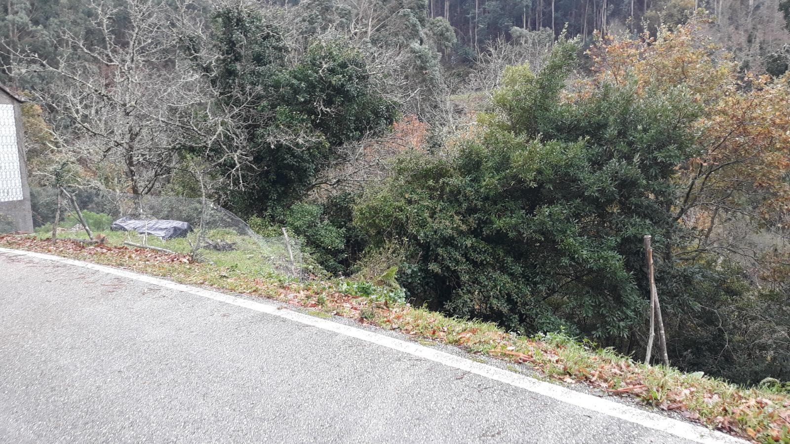 Usufruto de Moradia e Terrenos · Penela, Coimbra — imagen 9