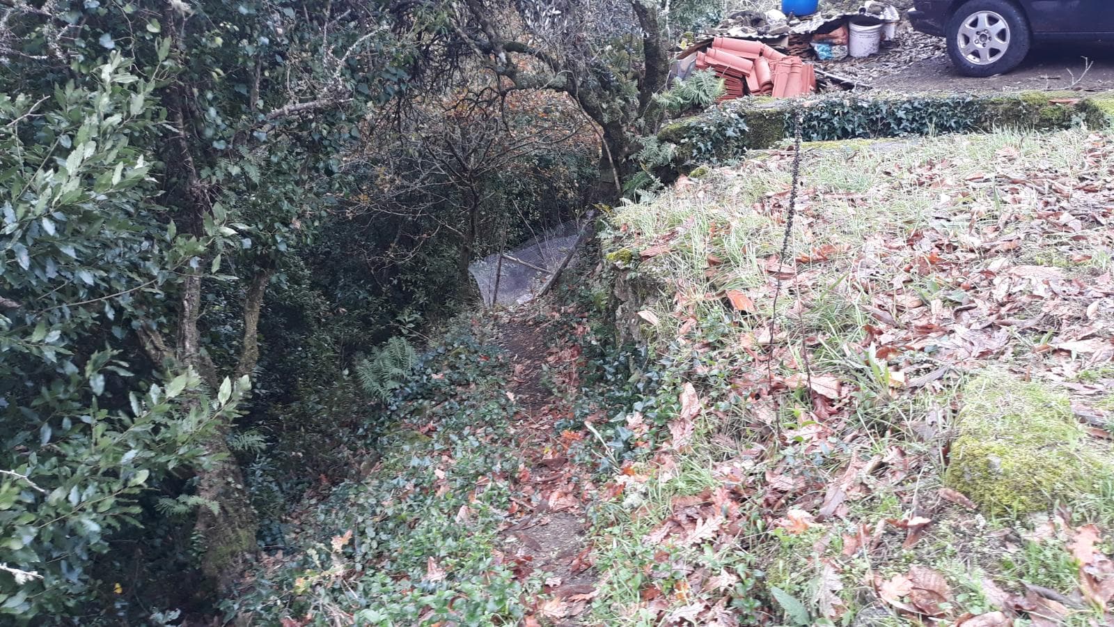 Usufruto de Moradia e Terrenos · Penela, Coimbra — imagen 12