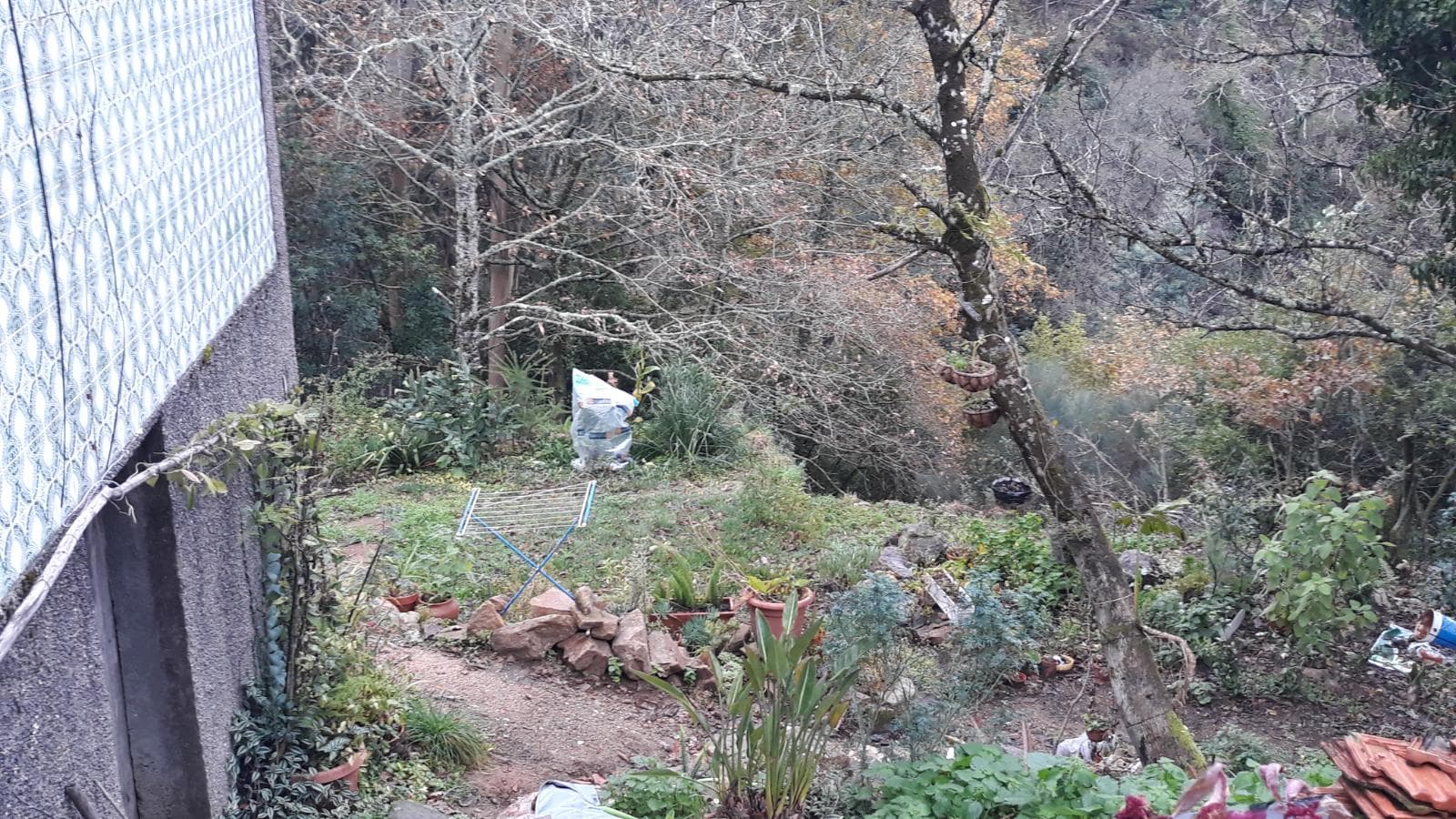 Usufruto de Moradia e Terrenos · Penela, Coimbra — imagen 10